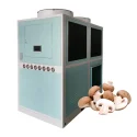 Máquina secadora de alimentos