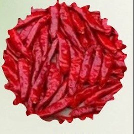 Dried chillies