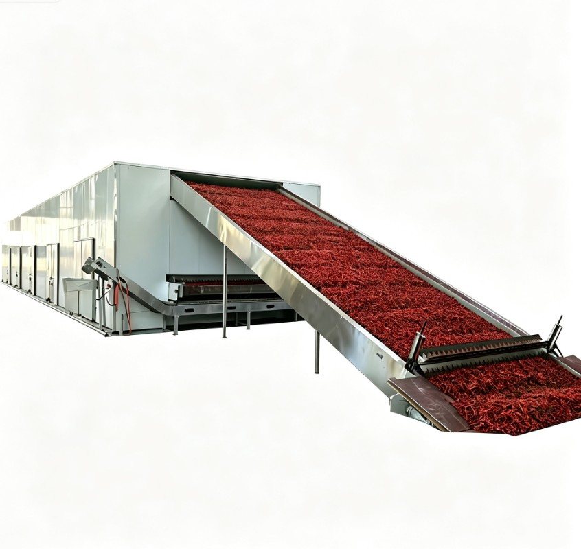 Continuous mesh-belt chilli drying line with feed and discharge conveyors