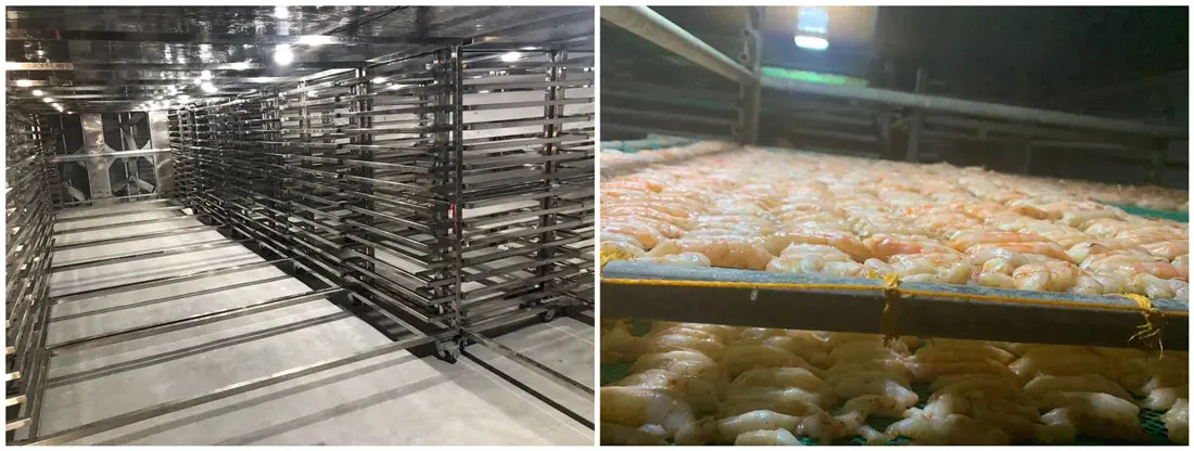 shrimp drying machine