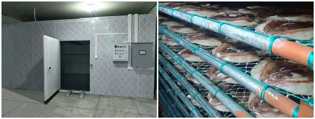 cuttlefish dryer