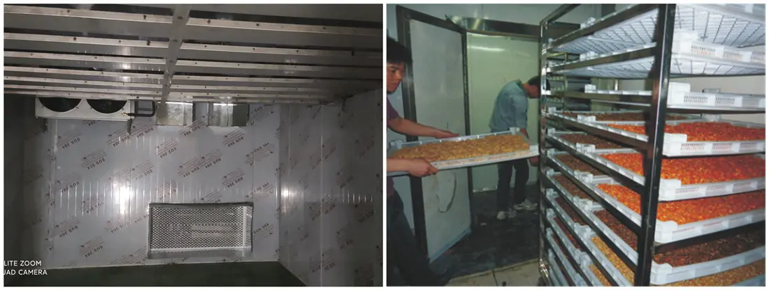 seafood dryer machine