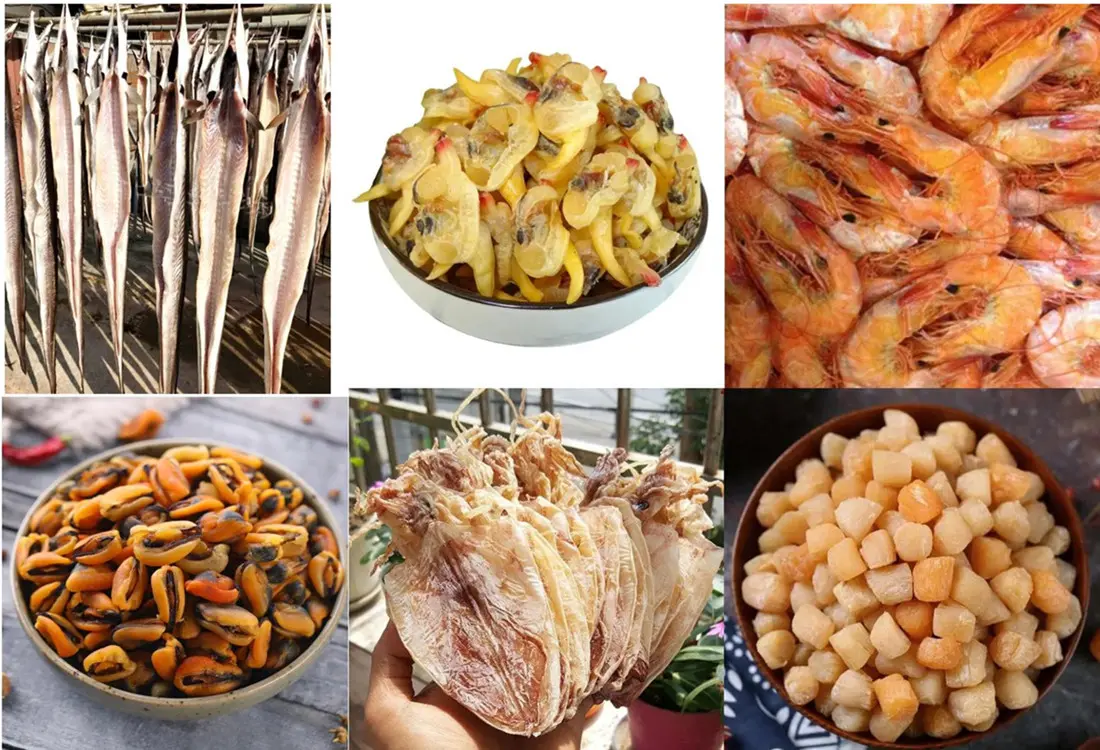 shrimp drying machine