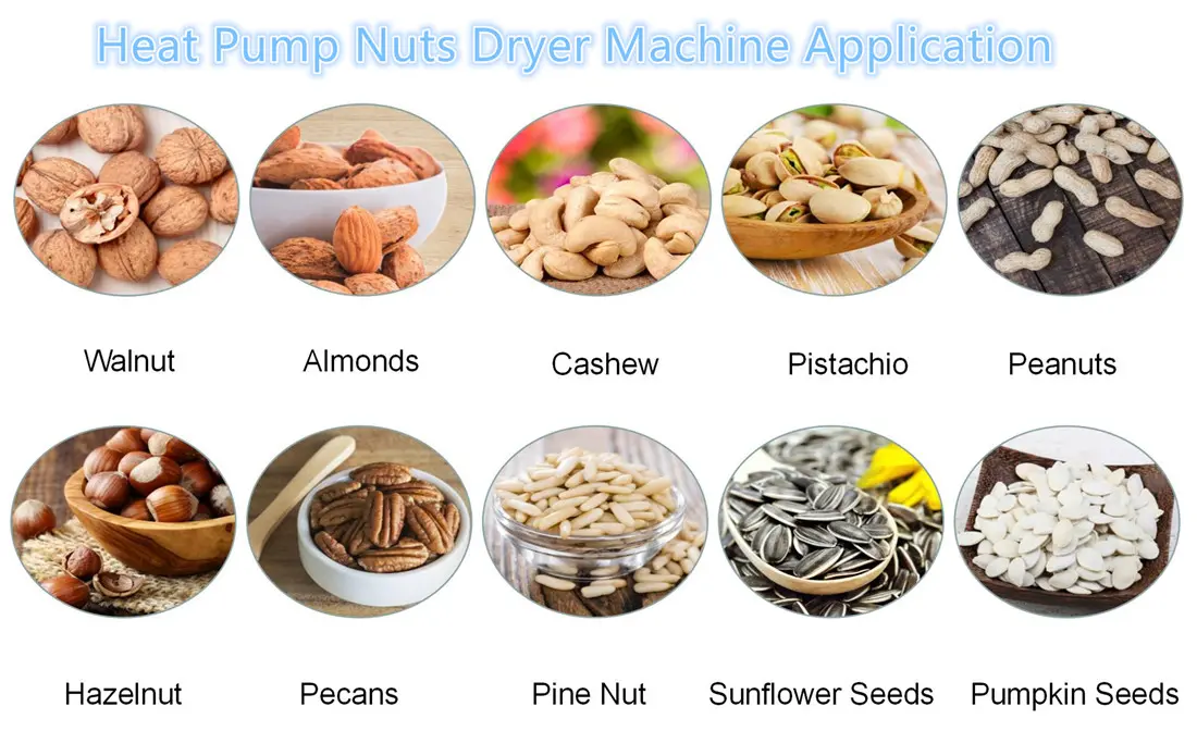 Nuts Dryer Application