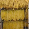 烟草烘干6_副本