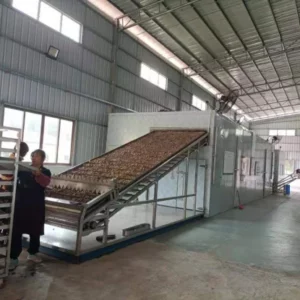Chilli Drying Line, 304 Continuous Mesh Belt