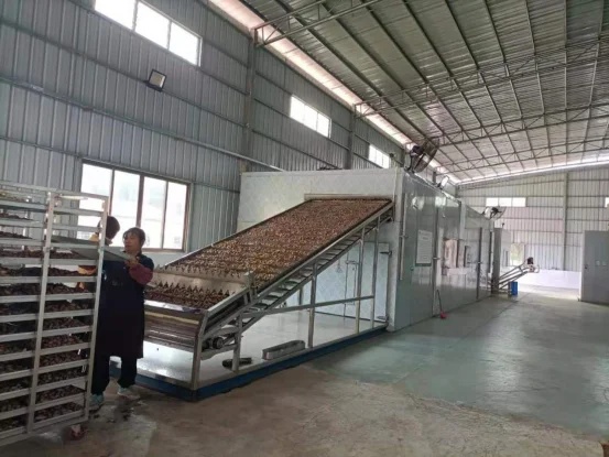 Chilli Drying Line, 304 Continuous Mesh Belt