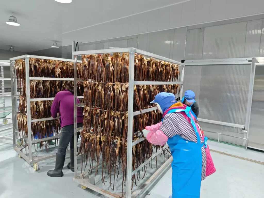 Seafood Drying Oven for Squid, Octopus and Mussel