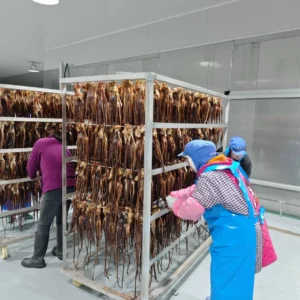 Seafood Drying Oven for Squid, Octopus and Mussel