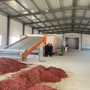 Continuous Mesh Belt Dryer, Customizable Heat Pump