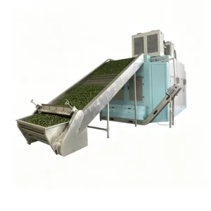 Continuous Mesh Belt Dryer, Customizable Heat Pump