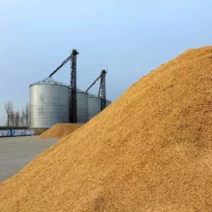 Grain Drying Tower, 30-100 Ton Per Day
