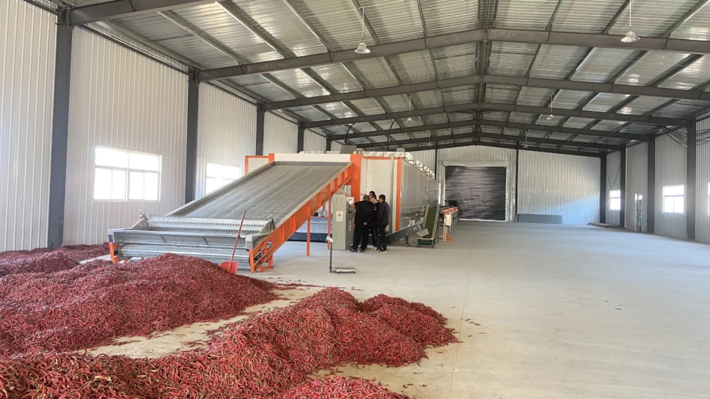 Chilli Drying Line, Multi-Layer Mesh Belt 6000-10000 kg