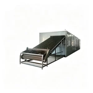 Continuous Mesh Belt Dryer for Pepper and Onion