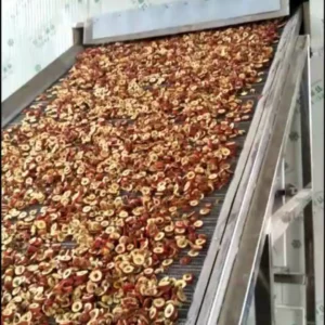 Continuous Mesh Belt Dryer for Pepper and Onion
