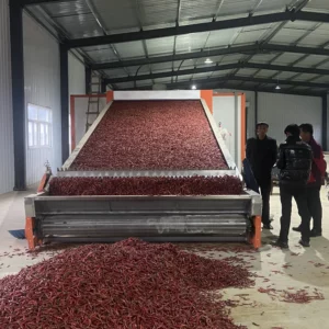 Continuous Mesh Belt Dryer for Pepper and Onion