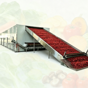 Chilli Drying Line, 304 Continuous Mesh Belt