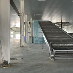 Chilli Drying Line, 304 Continuous Mesh Belt