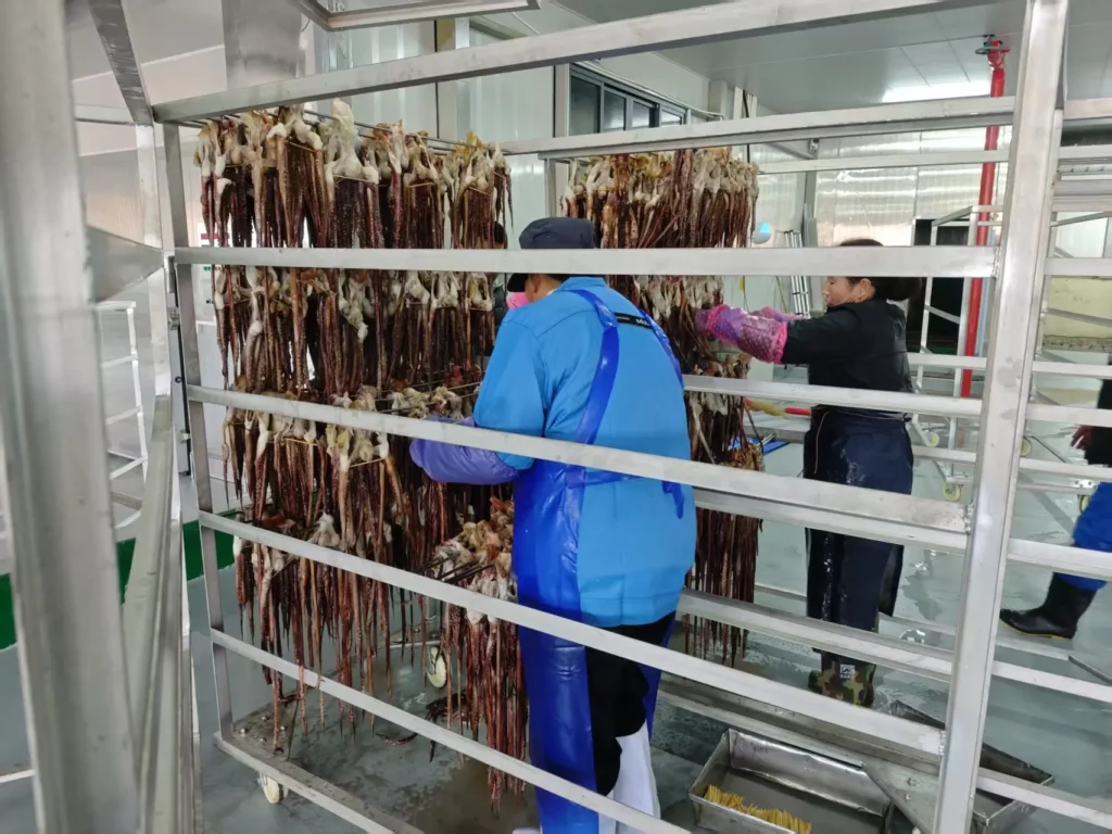 Seafood Drying Oven for Squid, Octopus and Mussel