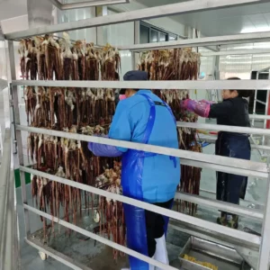 Seafood Drying Oven for Squid, Octopus and Mussel