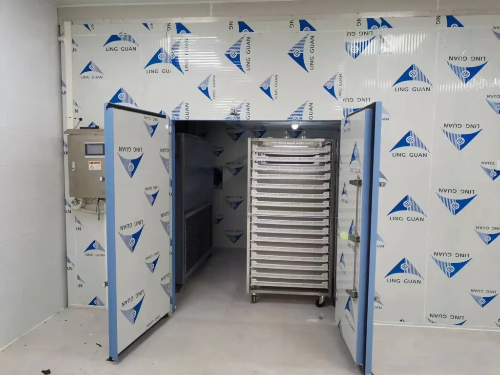 Walk-in Meat Drying Room with Rack Stacking