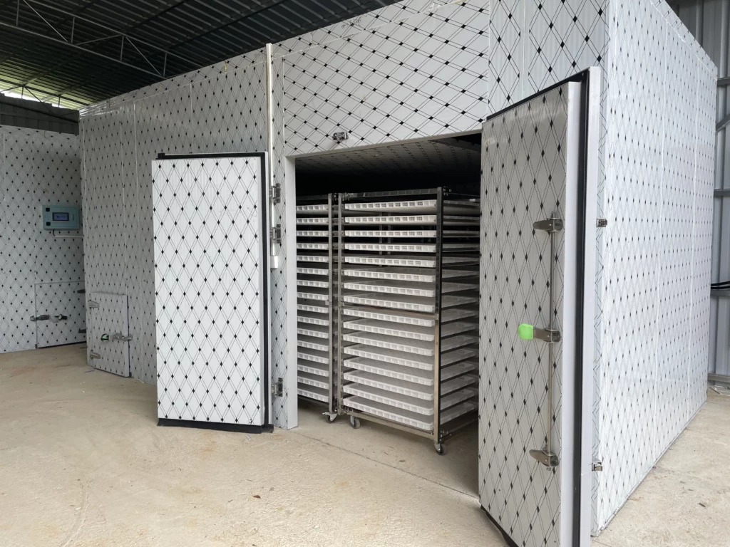 Vegetable and Fruit Heat Pump Dryer, Mango to Strawberry