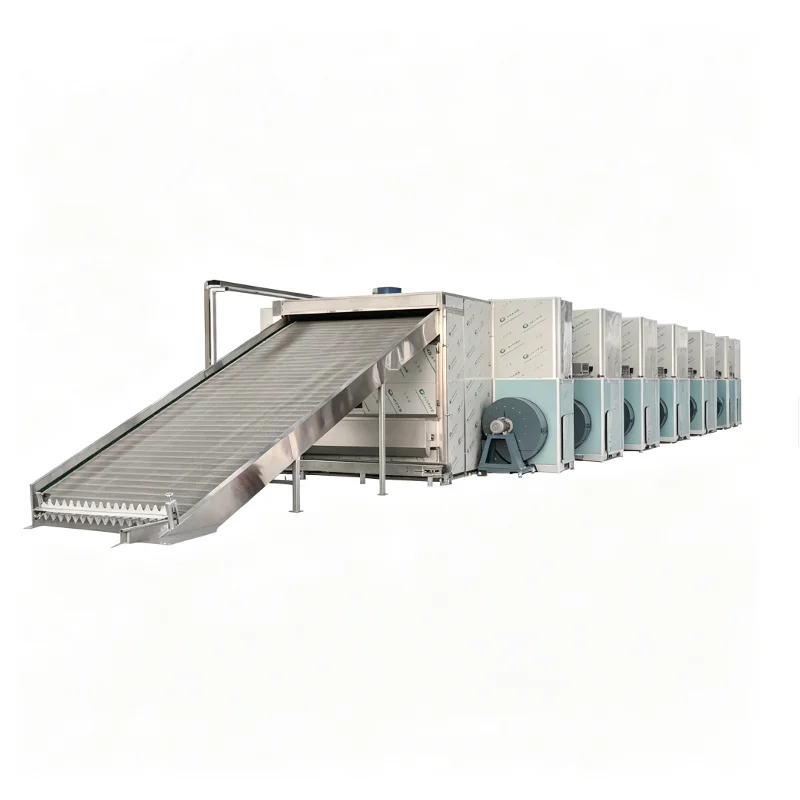 Continuous Mesh Belt Dryer for Pepper and Onion