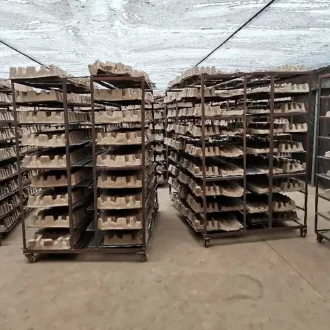 1501099329008689154